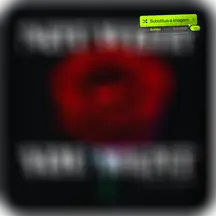 Not-What-You-Want-downloaded-from-SpotiSongDownloader.com_-1.webp
